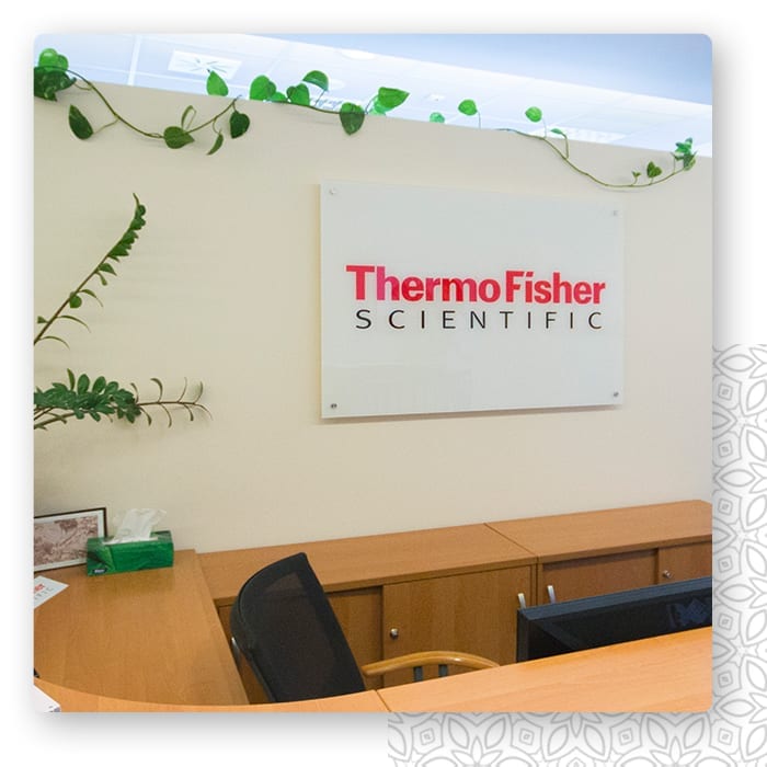 Logo Thermo Fisher Scientific na białej ścianie biura, obok zielone pnącza