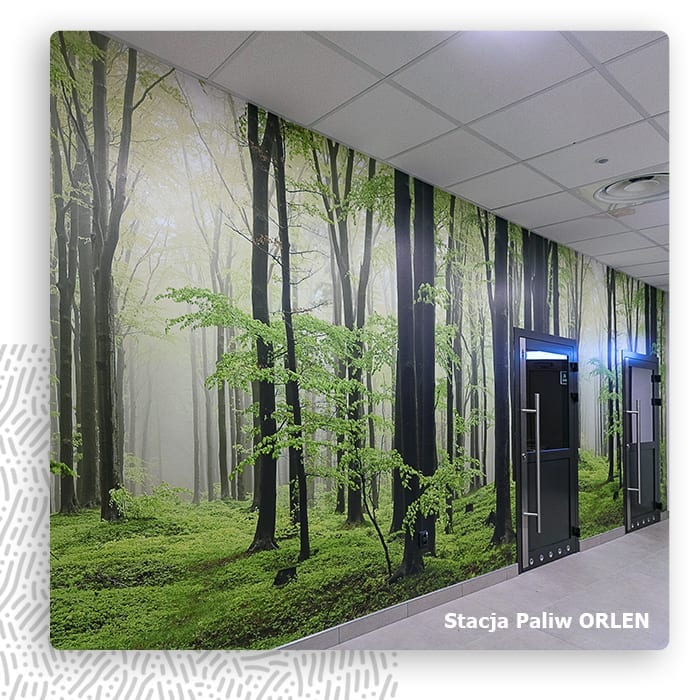 Fototapeta z mglistym lasem w korytarzu stacji paliw Orlen